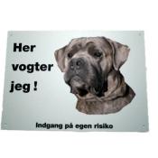 Her vogter jeg - Cane Corso 