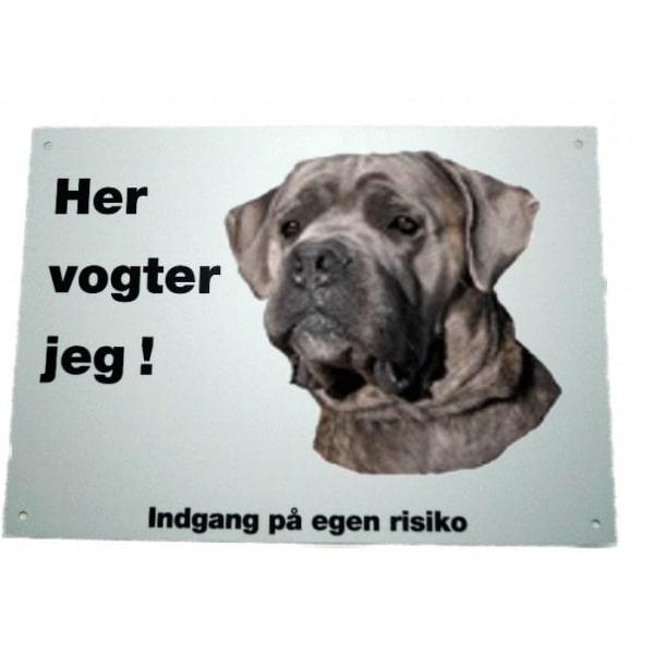 Her vogter jeg - Cane Corso 