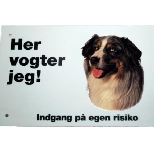 Her vogter jeg - Australsk hyrdehund 225