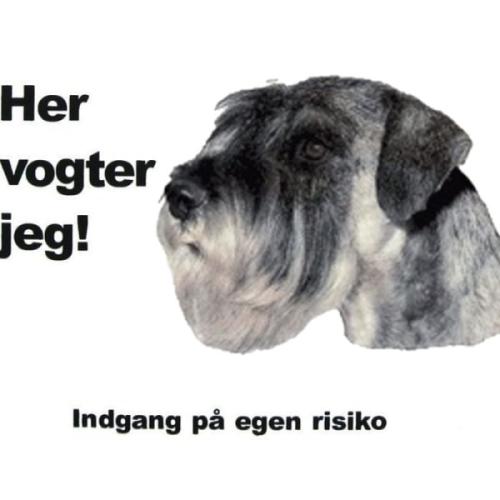 Her vogter jeg - Schnauzer