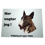 Her vogter jeg - Bull Terrier 165