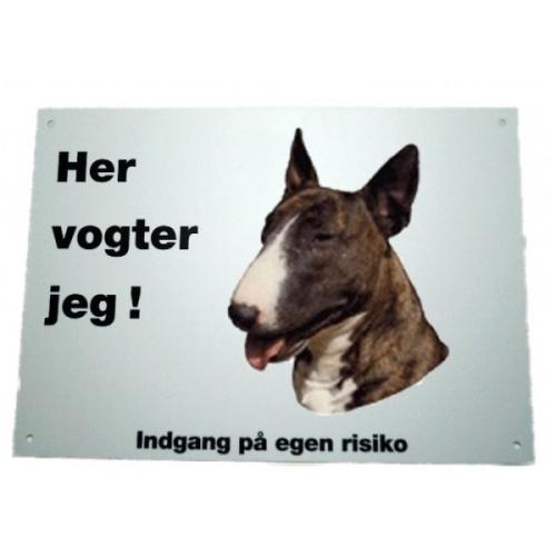 Her vogter jeg - Bull Terrier 165