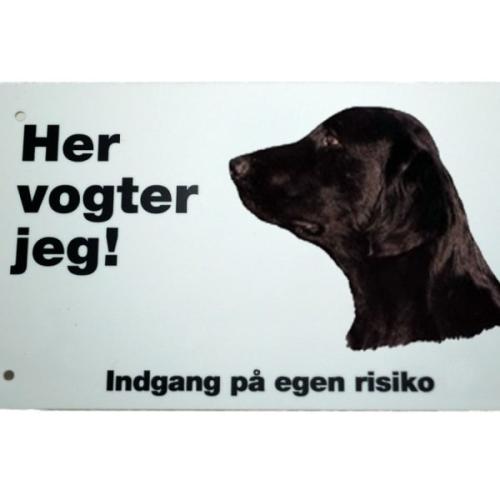 Her vogter jeg - Flatcoated Retriever 100