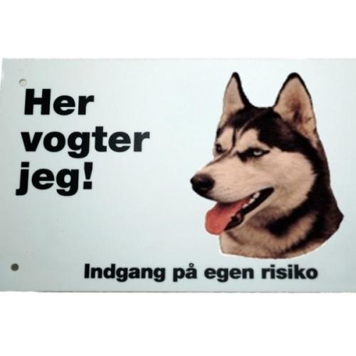 Her vogter jeg - Siberian Husky 117