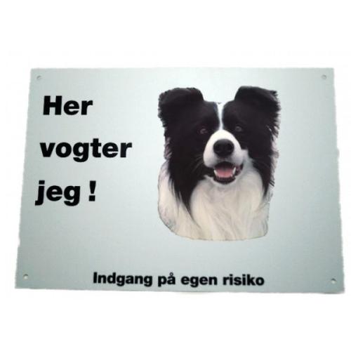 Her vogter jeg - Border Collie 87