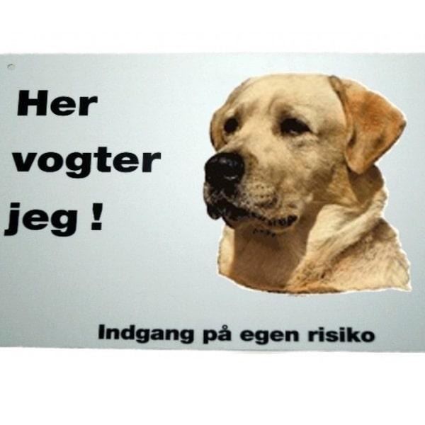 Her vogter jeg - Labrador 51