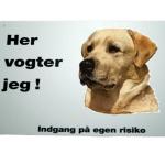 Her vogter jeg - Labrador 51