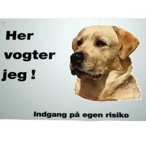 Her vogter jeg - Labrador 51