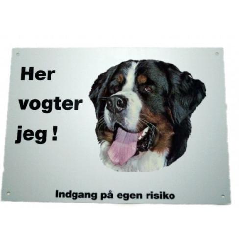 Her vogter jeg - Berner Sennenhund 10