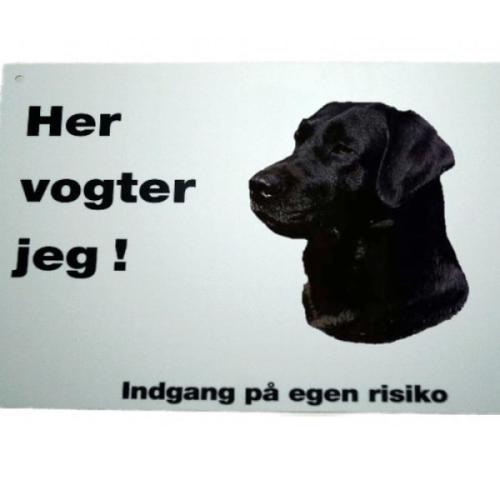 Her vogter jeg - Labrador 20