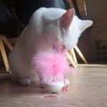 Feather Wobble Pet Droid