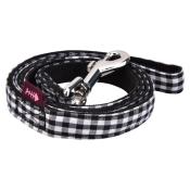 Catspia Evie line
