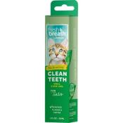 Fresh Breath Clean Teeth