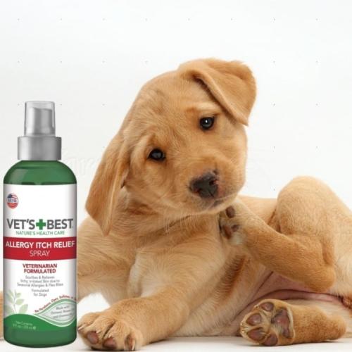 Hurtig lindring af kløende og irriteret hud på hund