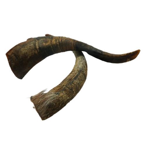 Gedehorn – Naturlig og langvarig tyggesnack til hunde