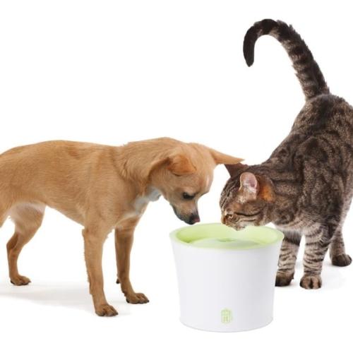 3 liter kapacitet med Triple Action Filter – ideel til kæledyr