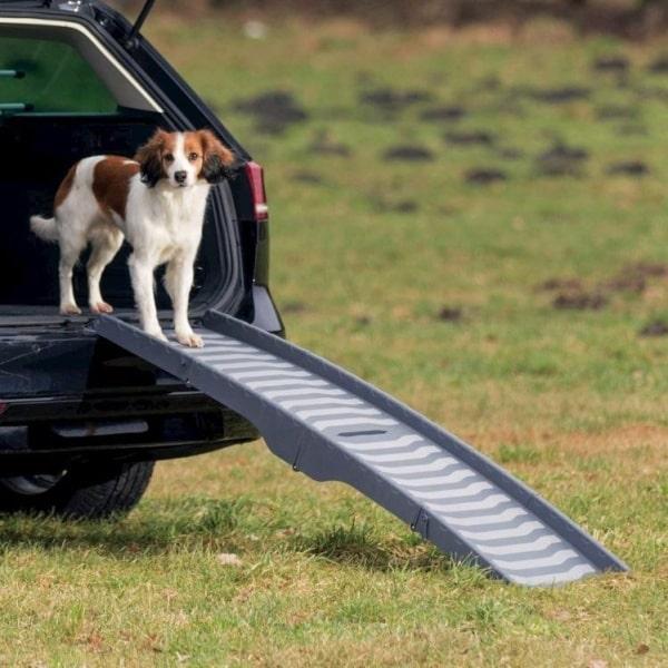 Trixie hunderampe med skridsikker belægning – ideel til små og mellemstore hunde