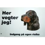 Her vogter jeg! Gordon Setter skilt