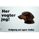 Her vogter jeg! Korthåret Gravhund skilt