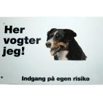 Her vogter jeg! Appenzeller Sennenhund skilt