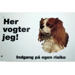 Her vogter jeg! King Charles Cavalier Spaniel skilt