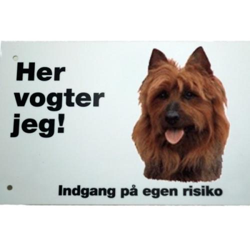 Her vogter jeg! Australsk Terrier skilt