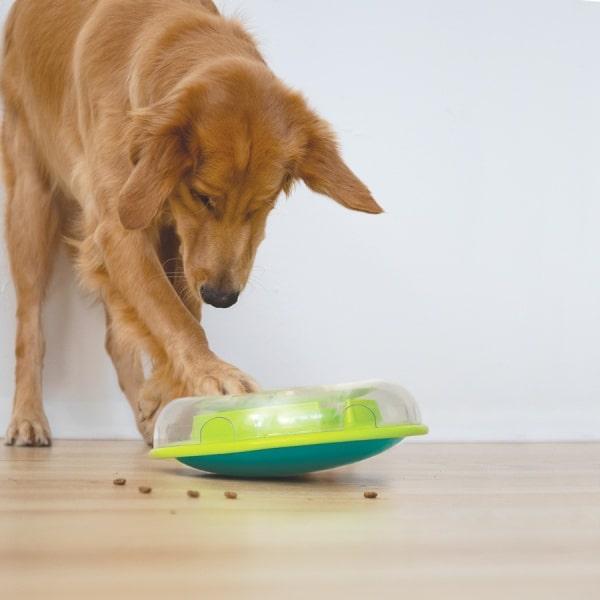 Wobble Bowl – gør måltider til sjov og mental træning hund