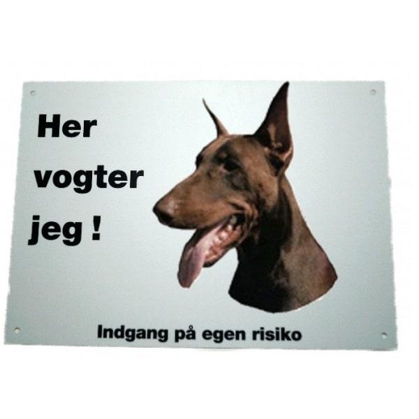 Her vogter jeg! Brun Doberman Pinscher skilt