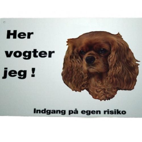 Her vogter jeg! King Charles Cavalier Spaniel skilt
