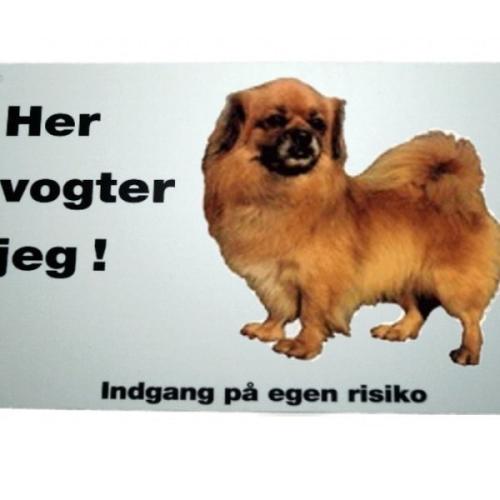 Her vogter jeg! Tibetansk Spaniel skilt