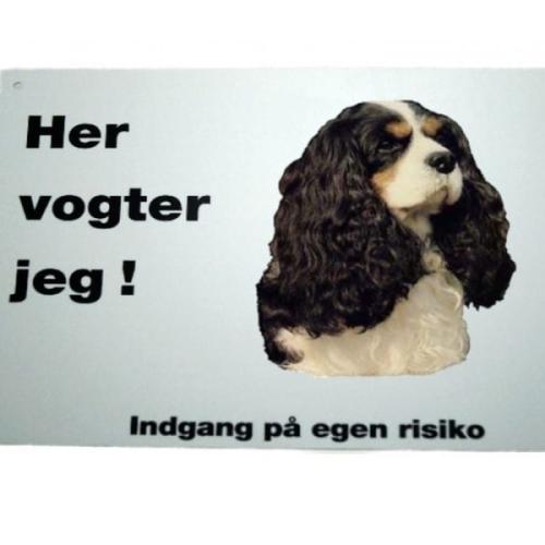 Her vogter jeg! Tricolor King Charles Cavalier Spaniel skilt