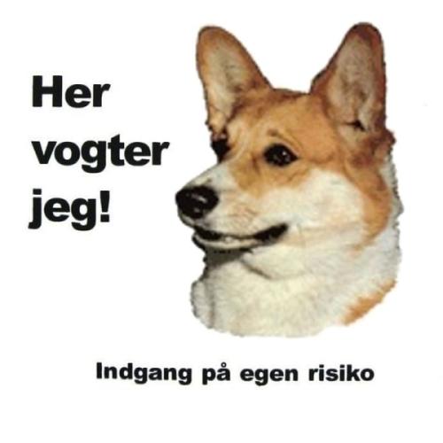 Her vogter jeg! Welsh Corgi Lys skilt