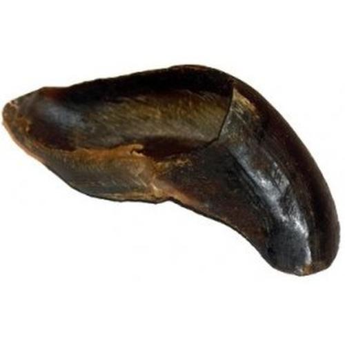 Mørke Hove – Naturlige og langvarige snacks til hunde