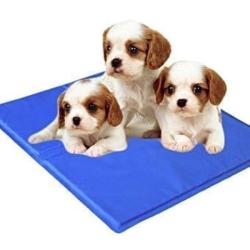 Companion Kølemåtte til mindre hunde