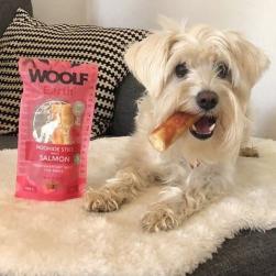 Woolf. Godbidder din hund vil elske