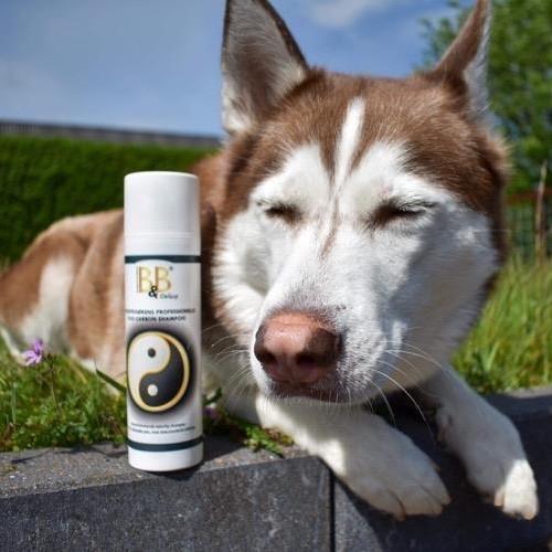 B&B Duo Carbon Shampoo – naturlig dybderens med aktivt kul til hunde