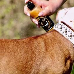 B&B Finish Spray – multifunktionel pelspleje til hunde med antistatisk effekt