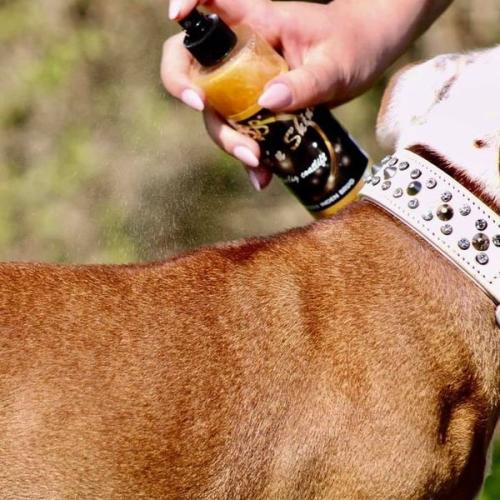 B&B Finish Spray – multifunktionel pelspleje til hunde med antistatisk effekt