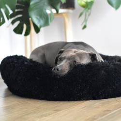 Antistress Donut Seng i sort med skridsikker bund og blød plys til hunde