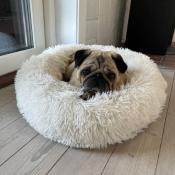 Råhvid Donut Seng – luksuriøs og praktisk soveplads til hunde, der elsker at putte
