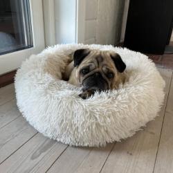 Råhvid Donut Seng – luksuriøs og praktisk soveplads til hunde, der elsker at putte