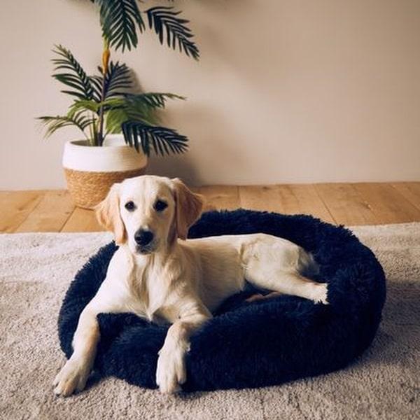 Elegant kongeblå Donut Seng – antistress og komfort til hunde