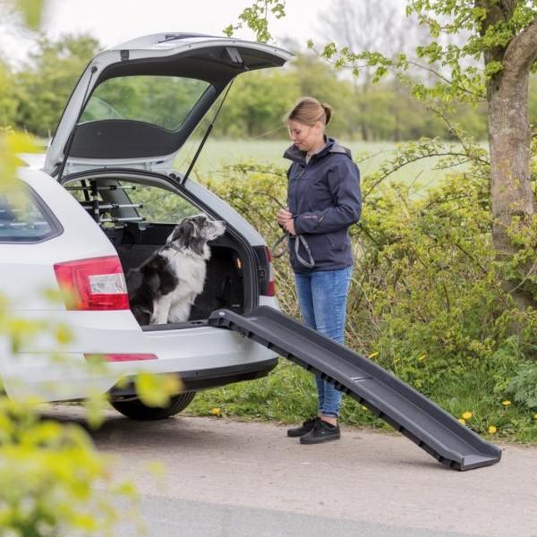 Hunderampe op til 90 kg hund
