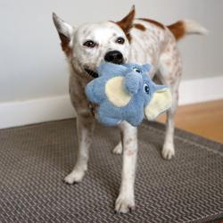 KONG Snuzzles Elephant – blødt og sjovt legetøj til små hunde!