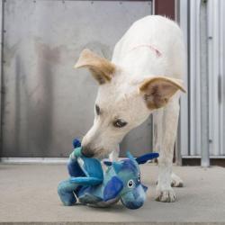 KONG Dragon Knots hundelegetøj til de mellemstore hunde