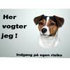 Racer fra D-G
