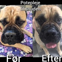 B&B Snudevoks Deluxe plejer og skåner hundesnuder