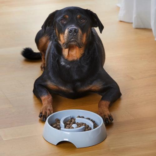  Dogman Slow Feed Hundemadskål. Slow feed design forhindrer for hurtig spisning