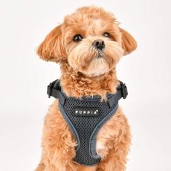 Ergonomisk hundesele – Skånsom for nakken og nem at tage på