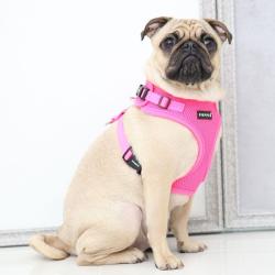Ergonomisk hundesele – Skånsom for nakken og nem at tage på